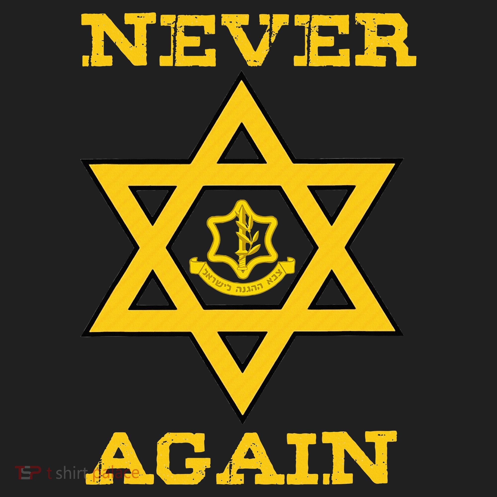 Never Again Support Israel Jewish Star Of David Idf Logo Beanie