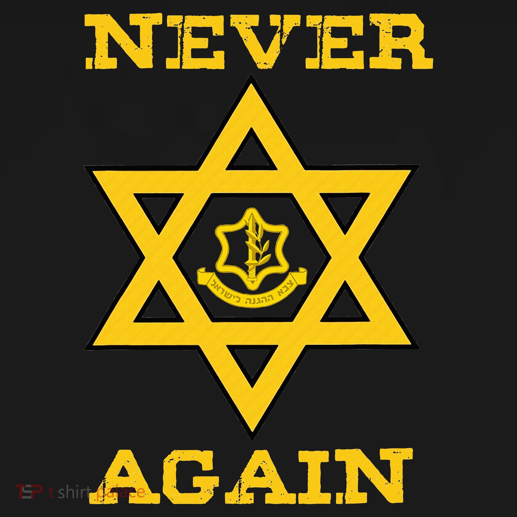 Never Again Support Israel Jewish Star Of David Idf Logo Women's Hoodie