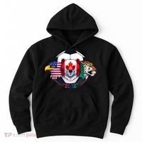 North American Soccer 2026 Fan Hoodie thumb 0