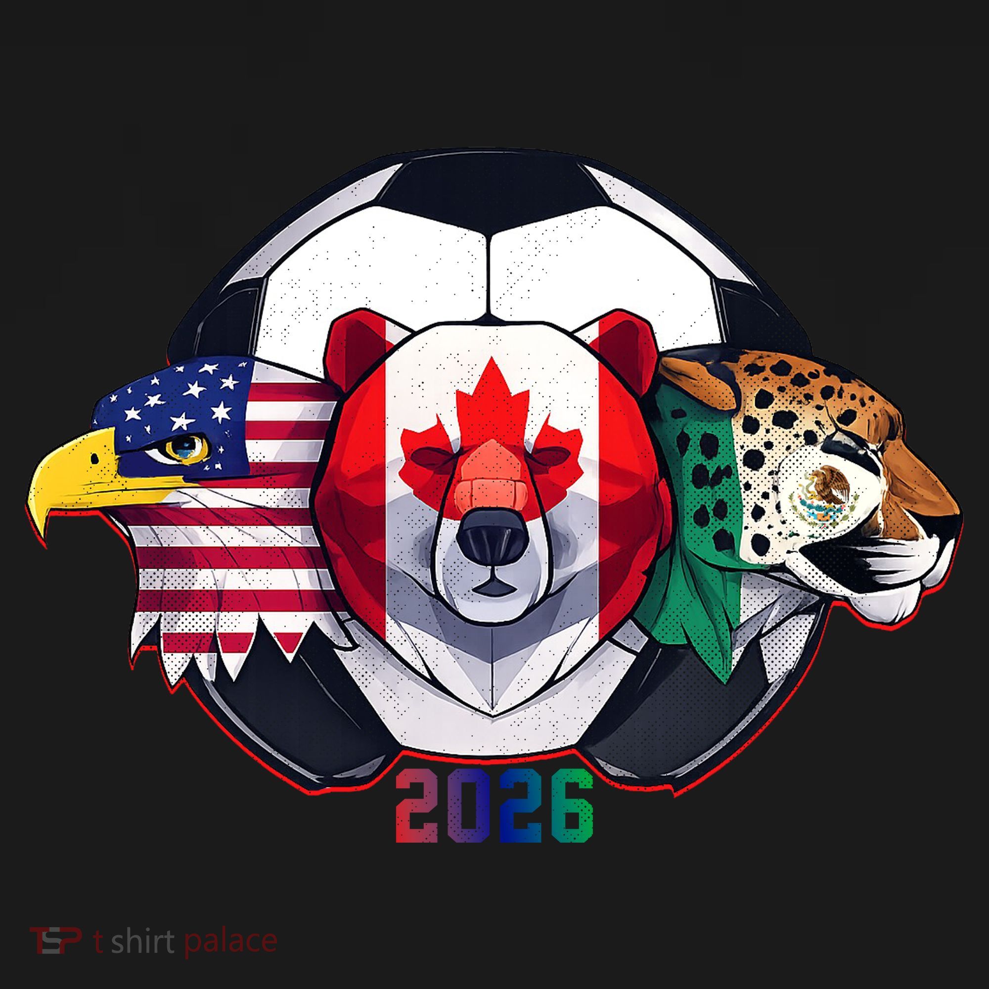 North American Soccer 2026 Fan Women's Hoodie