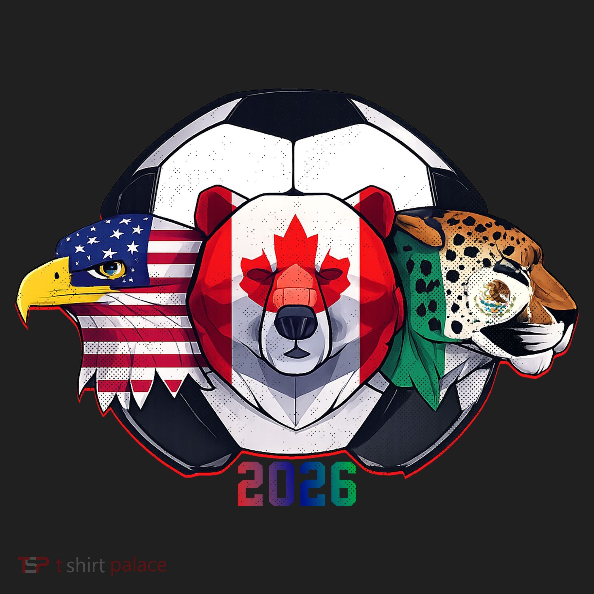 North American Soccer 2026 Fan Hat