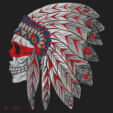 Native American Skull Feathers Comfort Colors T-Shirt