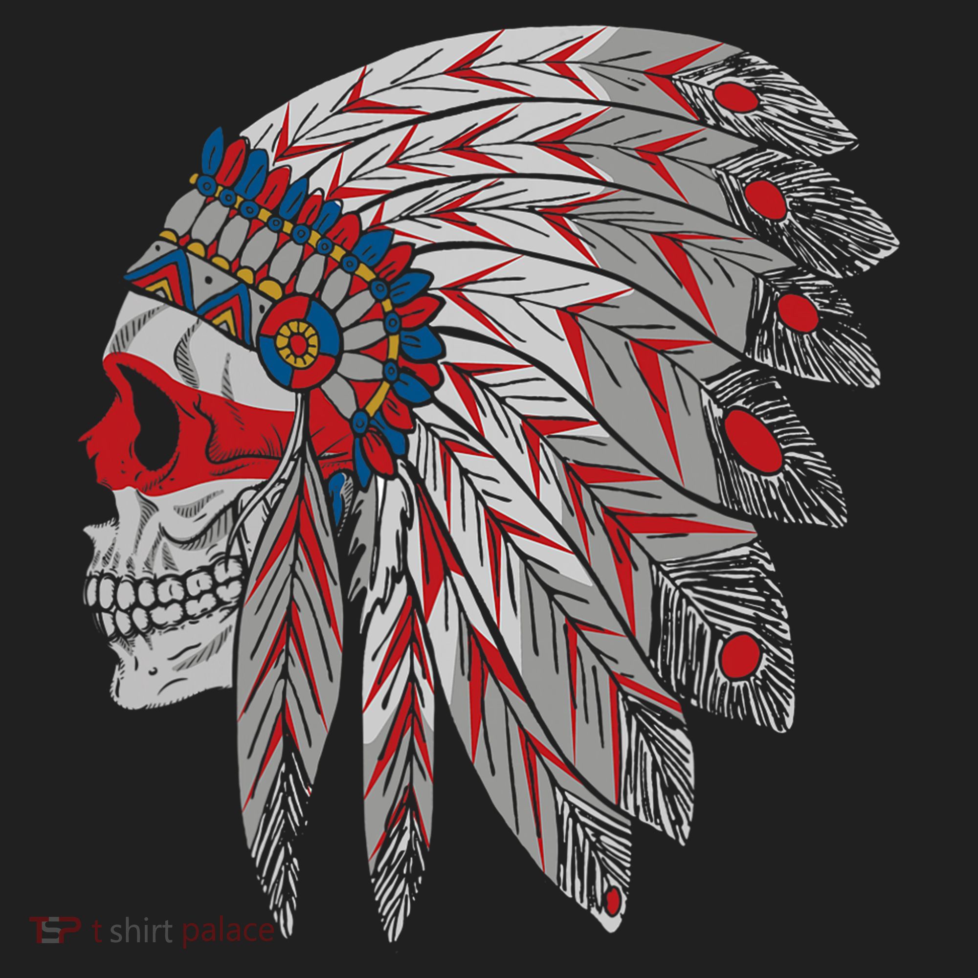 Native American Skull Feathers Tumbler