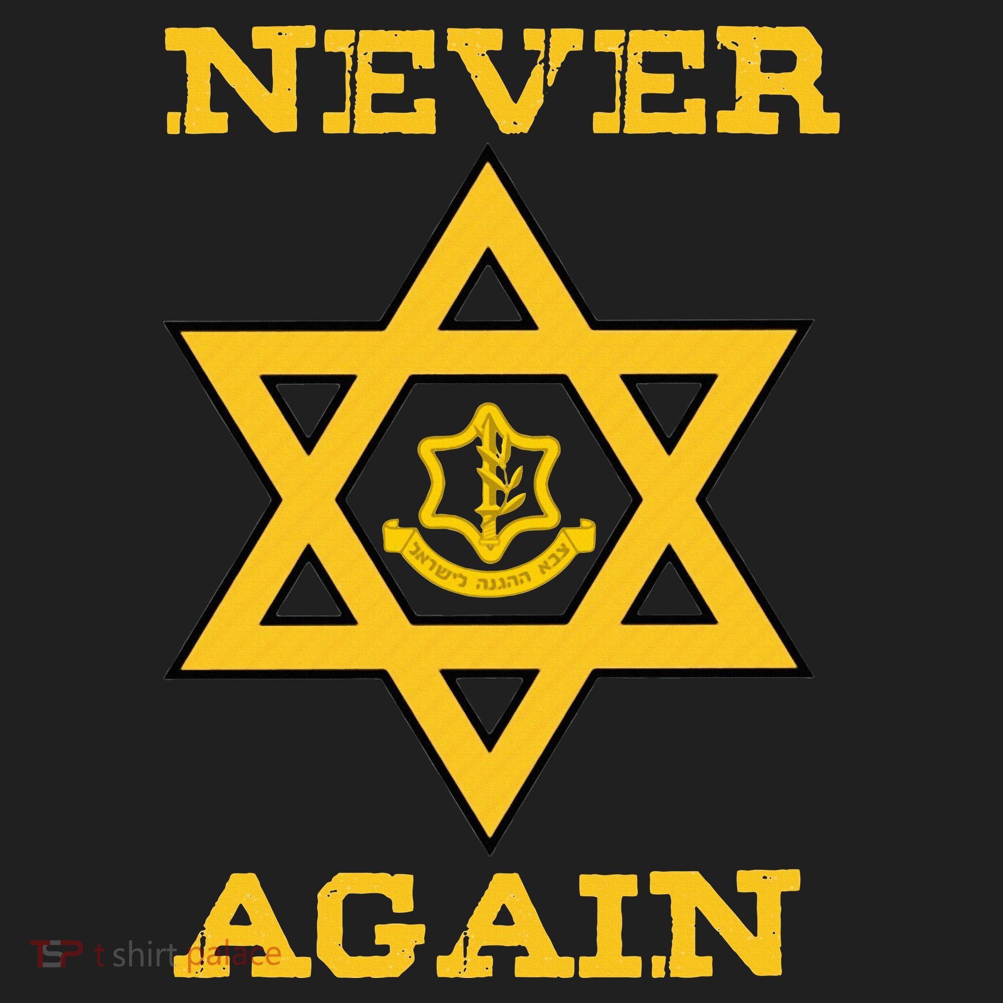 Never Again Support Israel Jewish Star Of David Idf Logo Beanie