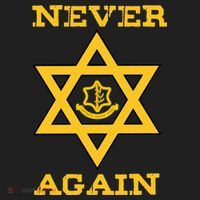 Never Again Support Israel Jewish Star Of David Idf Logo Tumbler thumb 3
