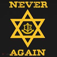 Never Again Support Israel Jewish Star Of David Idf Logo Women's T-Shirt thumb 6