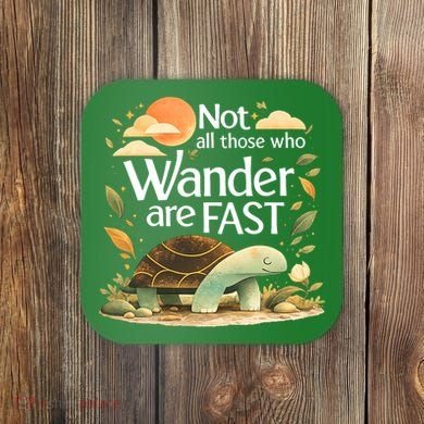 Not All Those Who Wander Are Fast Turtle Coaster
