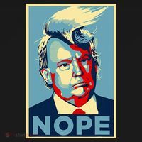 Nope Anti Trump Funny Trump Hair Women's Hoodie thumb 2