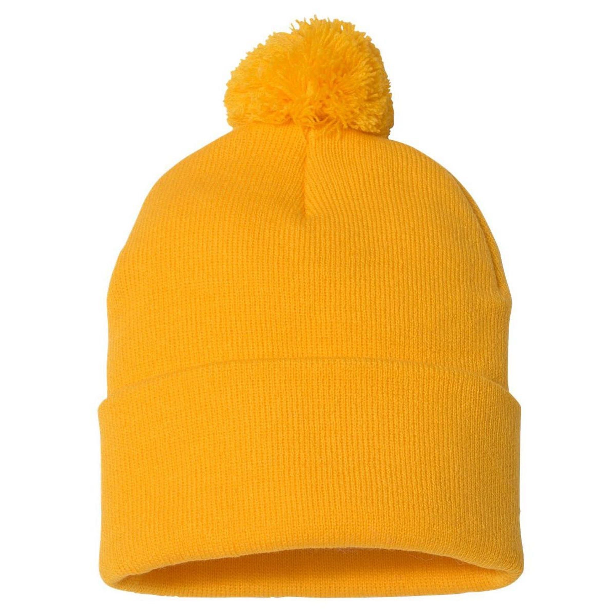 Native America Turn In Your Guns Government Take Care Of You Pom Pom 12in Knit Beanie