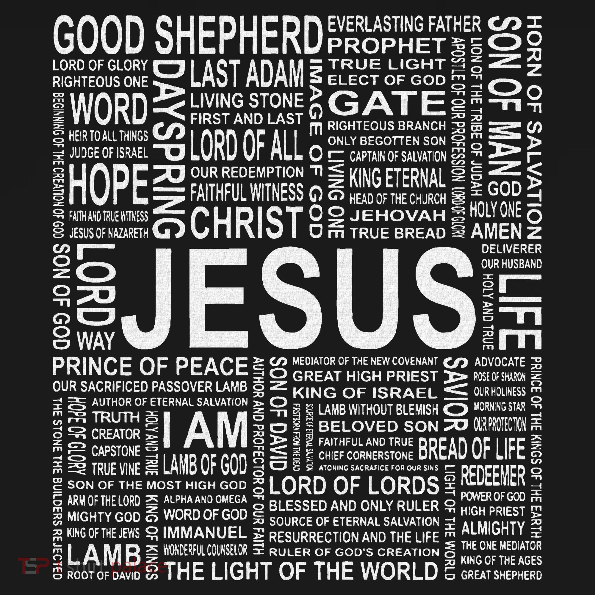 Names And Titles Of Jesus Christian T-Shirt