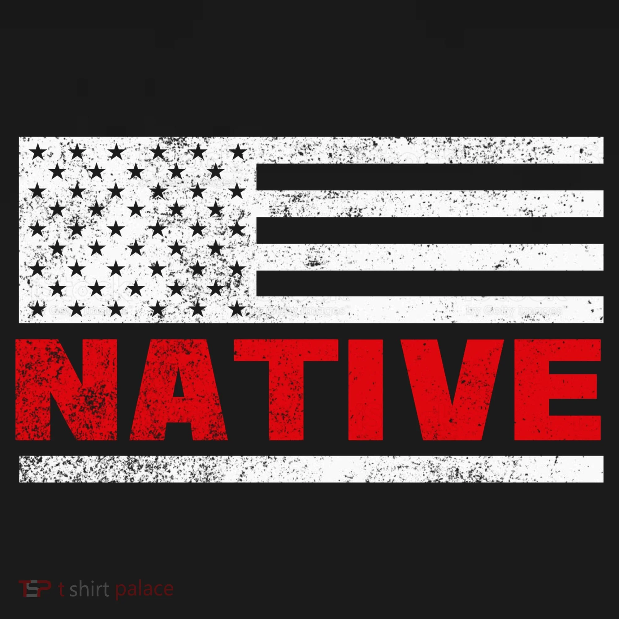 Native American Flag Sweatshirt