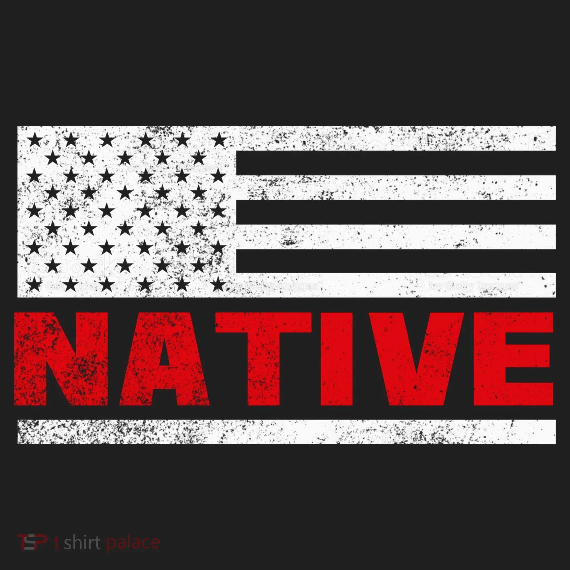 Native American Flag Beanie