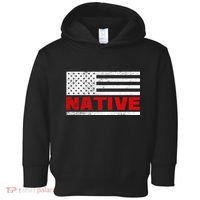 Native American Flag Toddler Hoodie thumb 0