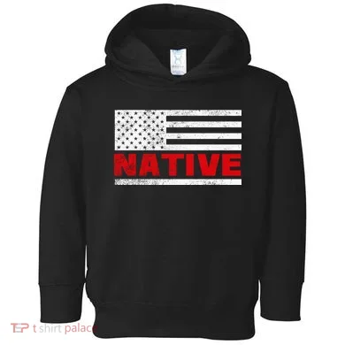 Native American Flag Toddler Hoodie