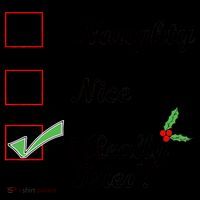 Naughty Nice I Really Tried Checklist Coffee Mug thumb 5