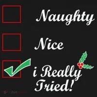 Naughty Nice I Really Tried Checklist Women's T-Shirt thumb 6