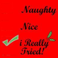 Naughty Nice I Really Tried Checklist Santa Hat thumb 1