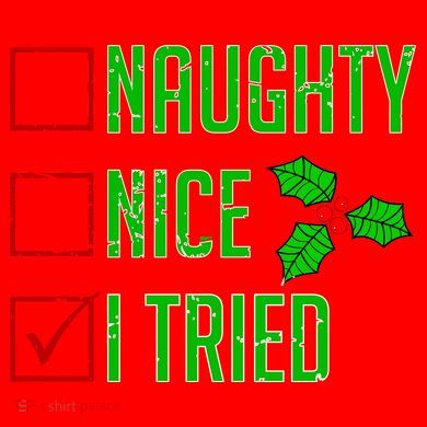 Naughty Nice I Tried Christmas Santa Hat