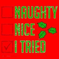 Naughty Nice I Tried Christmas Santa Hat thumb 1
