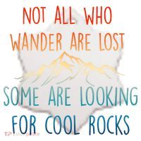 Not All Who Wander Are Lost Some Are Looking For Cool Rocks Ceramic Ornament thumb 2