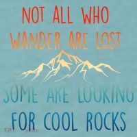 Not All Who Wander Are Lost Some Are Looking For Cool Rocks Sueded Cloud Jersey T-Shirt thumb 2