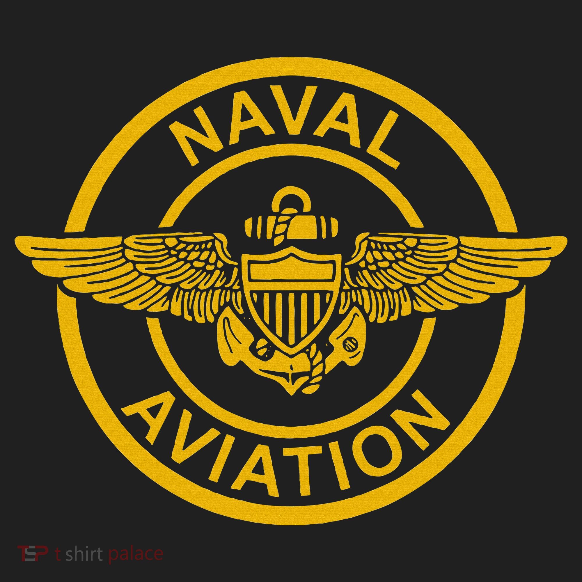 Naval Aviation Wings Patch Hat