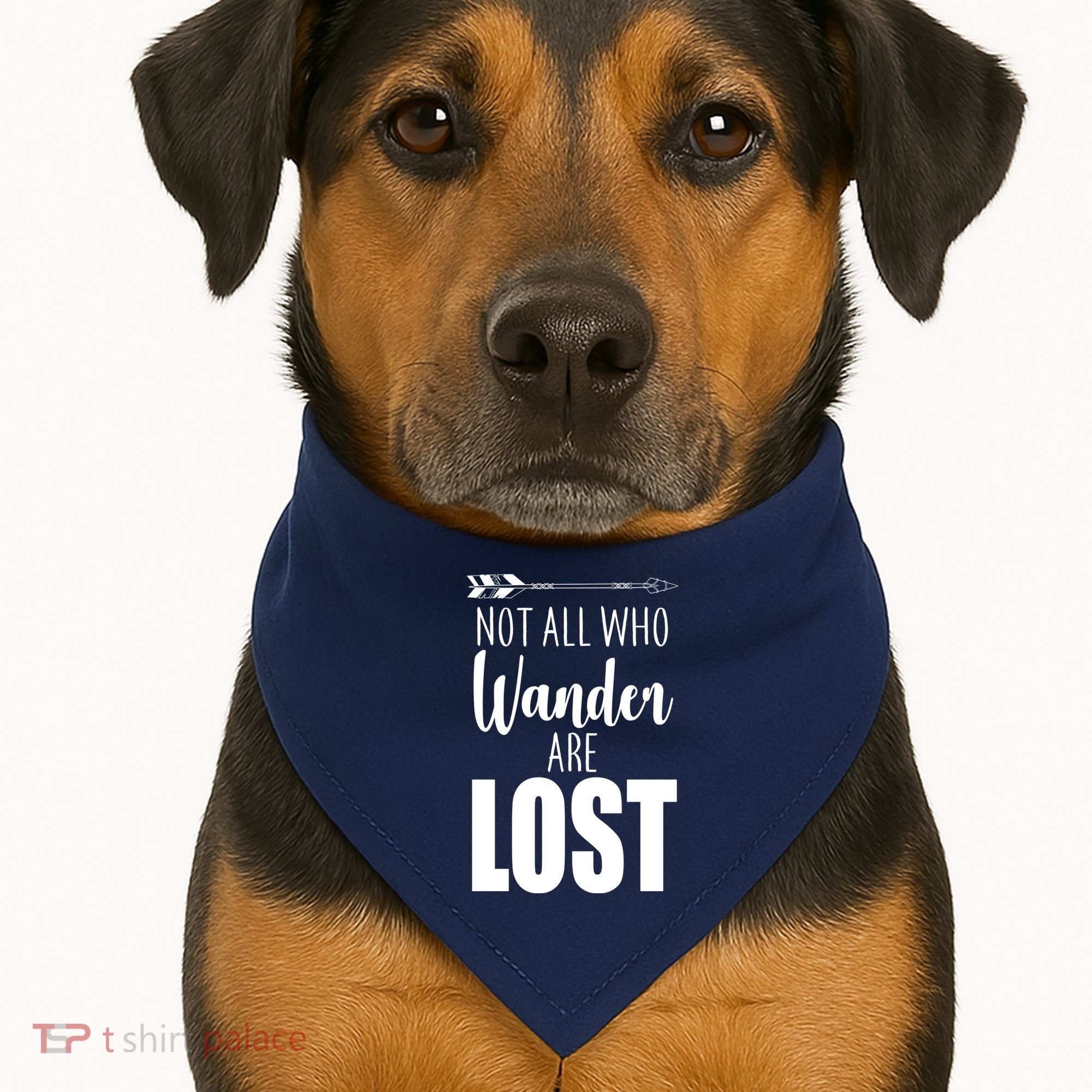 Not All Who Wander Are Lost Arrow USA-Made Doggie Bandana