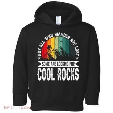 Not All Who Wander Are Lost Some Are Looking For Cool Rocks Toddler Hoodie