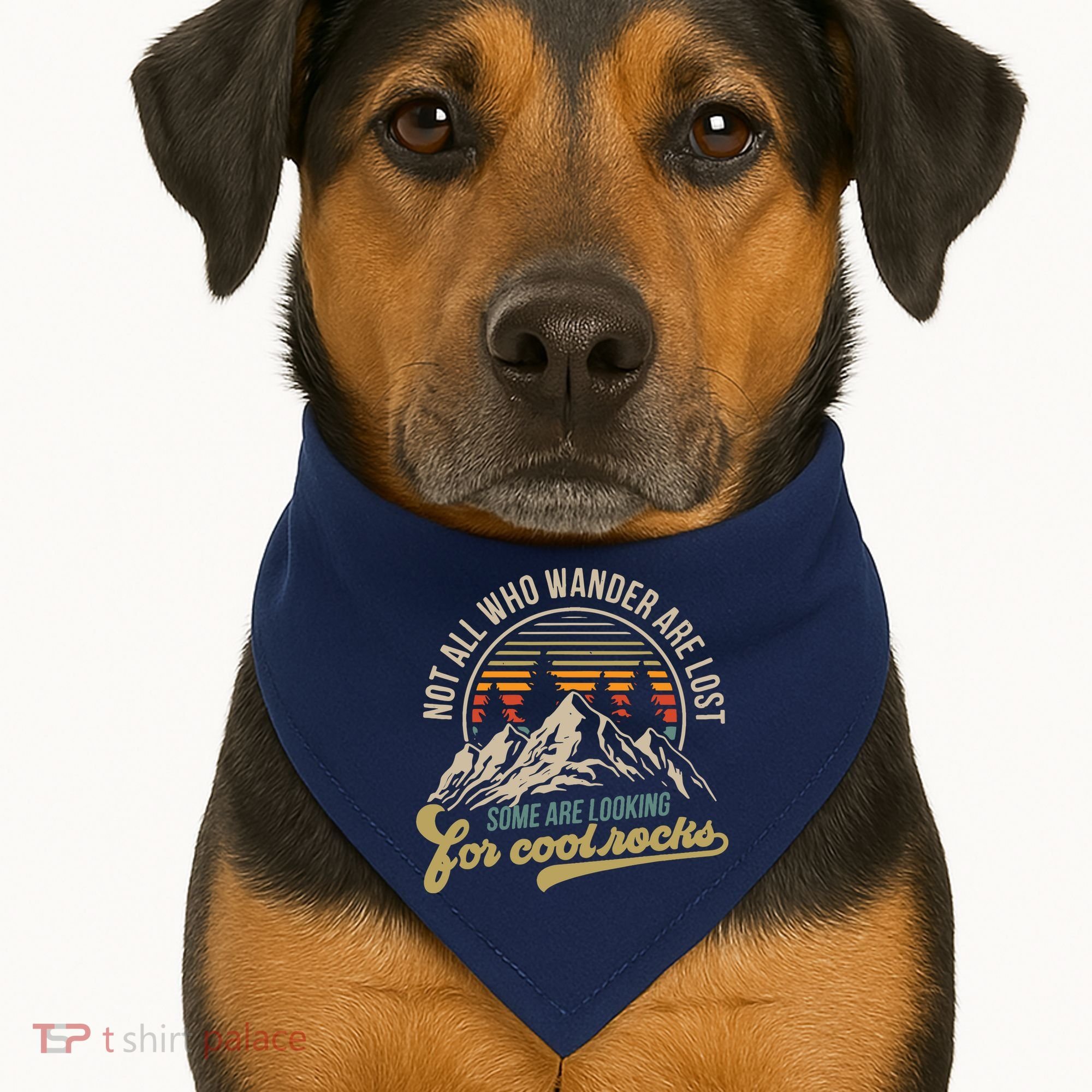 Not All Who Wander Are Lost Some Are Looking For Cool Rocks USA-Made Doggie Bandana