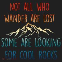 Not All Who Wander Are Lost Some Are Looking For Cool Rocks Plastic Christmas Ball Ornament thumb 1