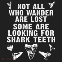 Not All Who Wander Are Lost Some Are Looking For Shark Teeth Comfort Colors Heavyweight Long Sleeve T-Shirt thumb 2