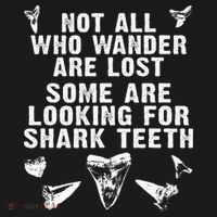 Not All Who Wander Are Lost Some Are Looking For Shark Teeth Women's Hoodie thumb 2