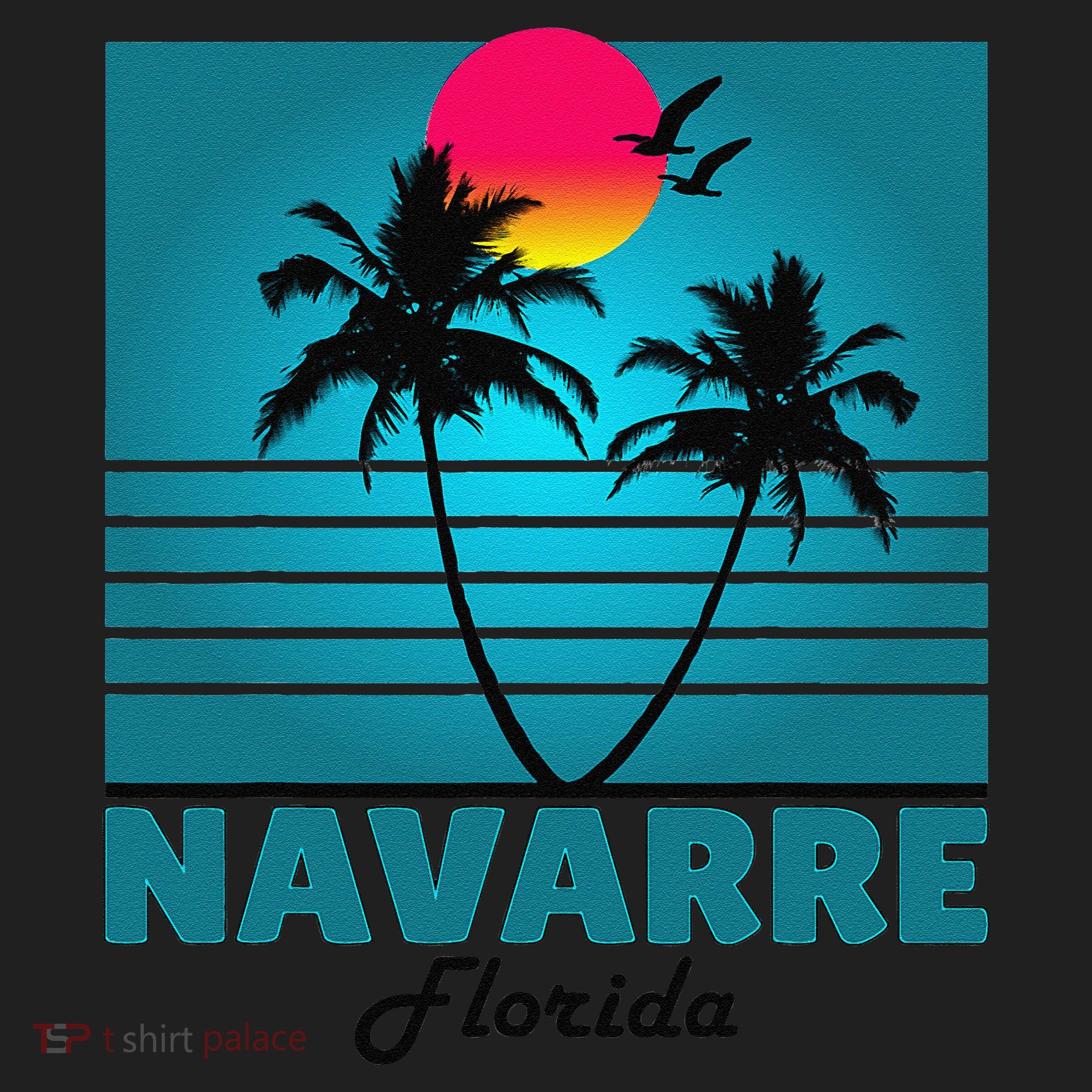 Navarre Beach Florida Fl Summer Seagulls Souvenirs Women's Sweatshirt
