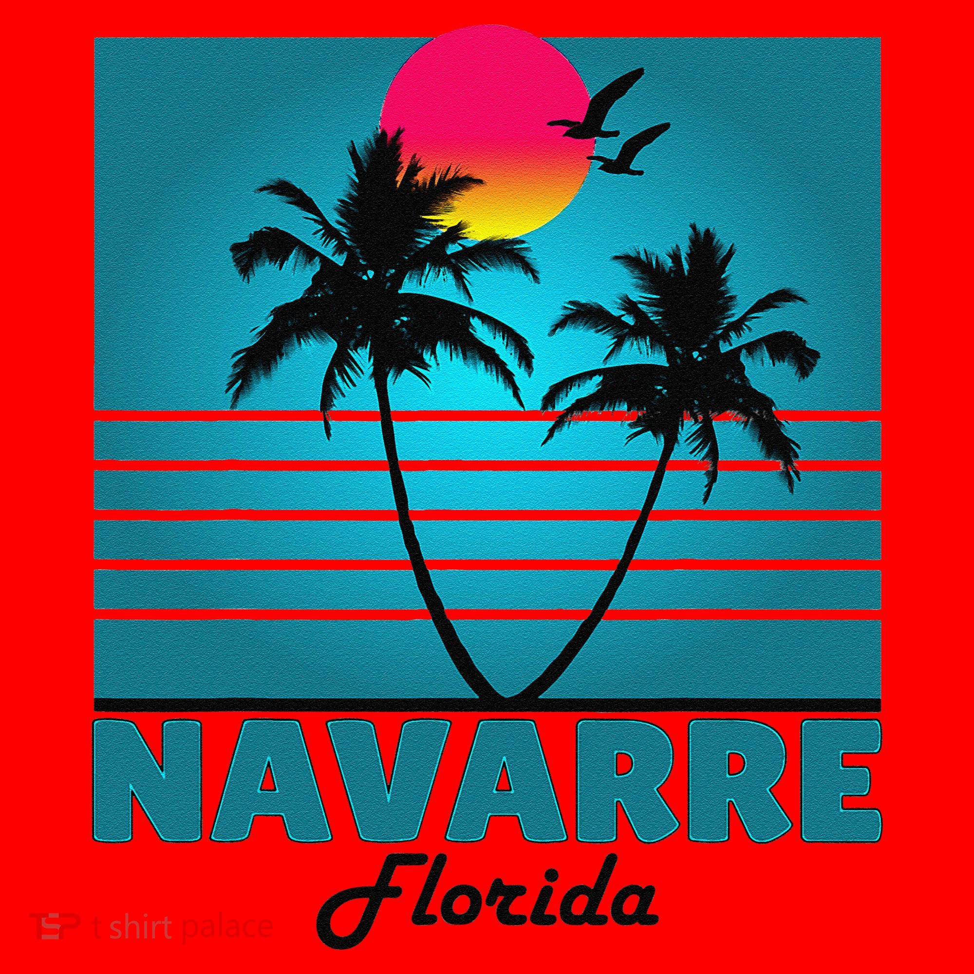 Navarre Beach Florida Fl Summer Seagulls Souvenirs Santa Hat