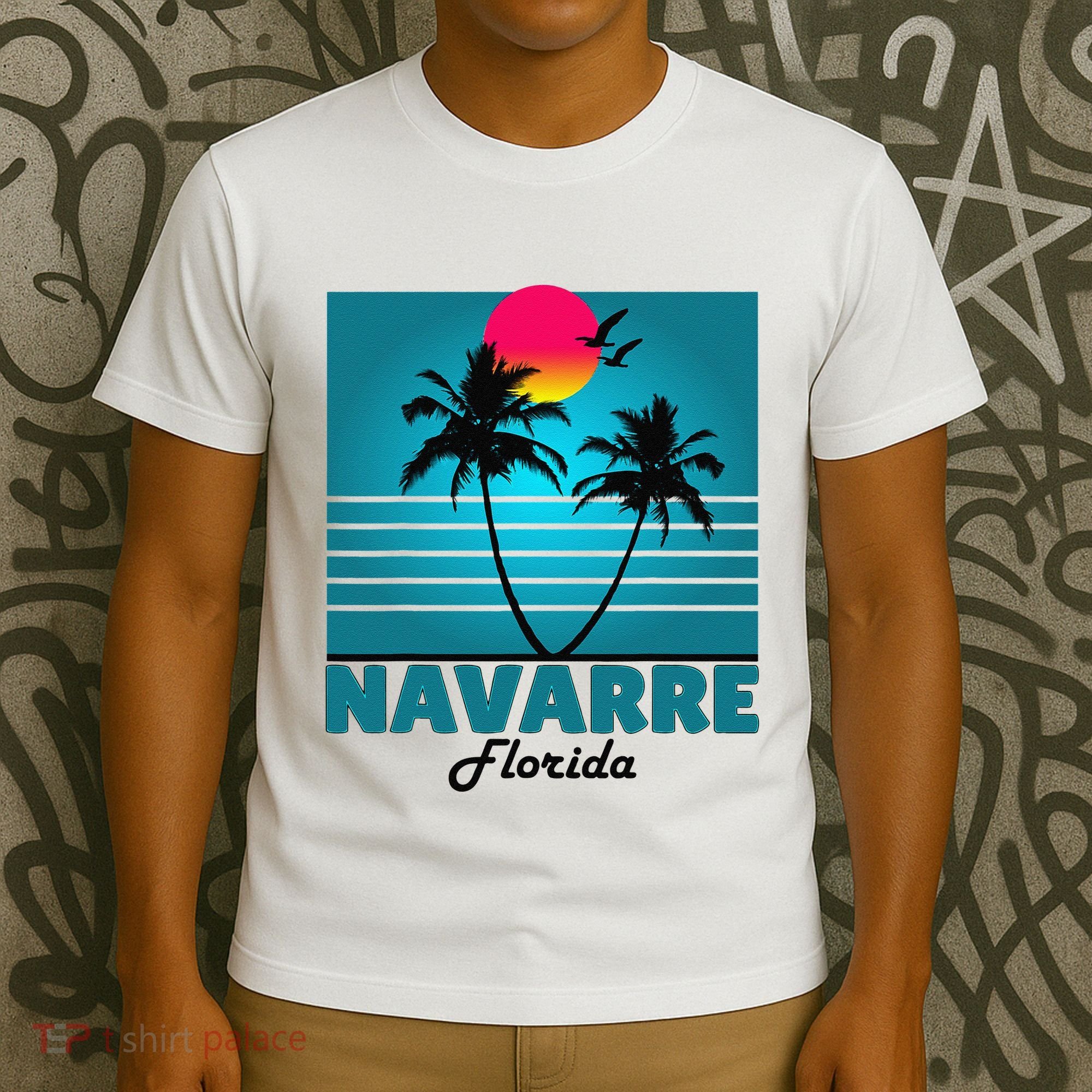 Navarre Beach Florida Fl Summer Seagulls Souvenirs T-Shirt