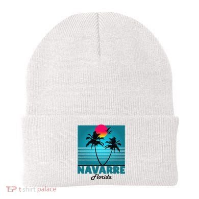 Navarre Beach Florida Fl Summer Seagulls Souvenirs Beanie