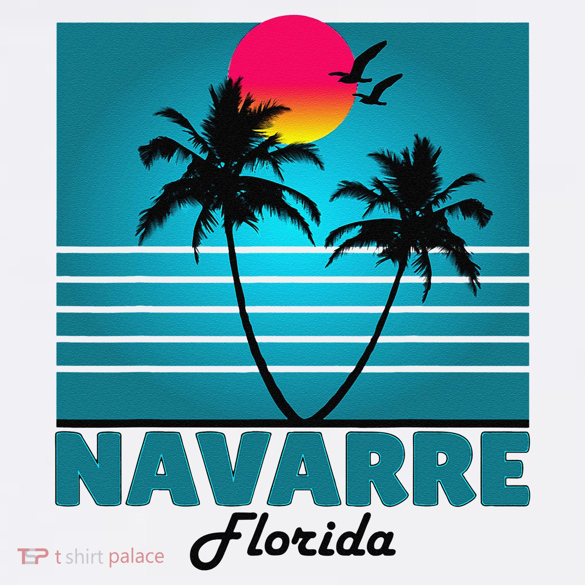 Navarre Beach Florida Fl Summer Seagulls Souvenirs Women's Tank Top