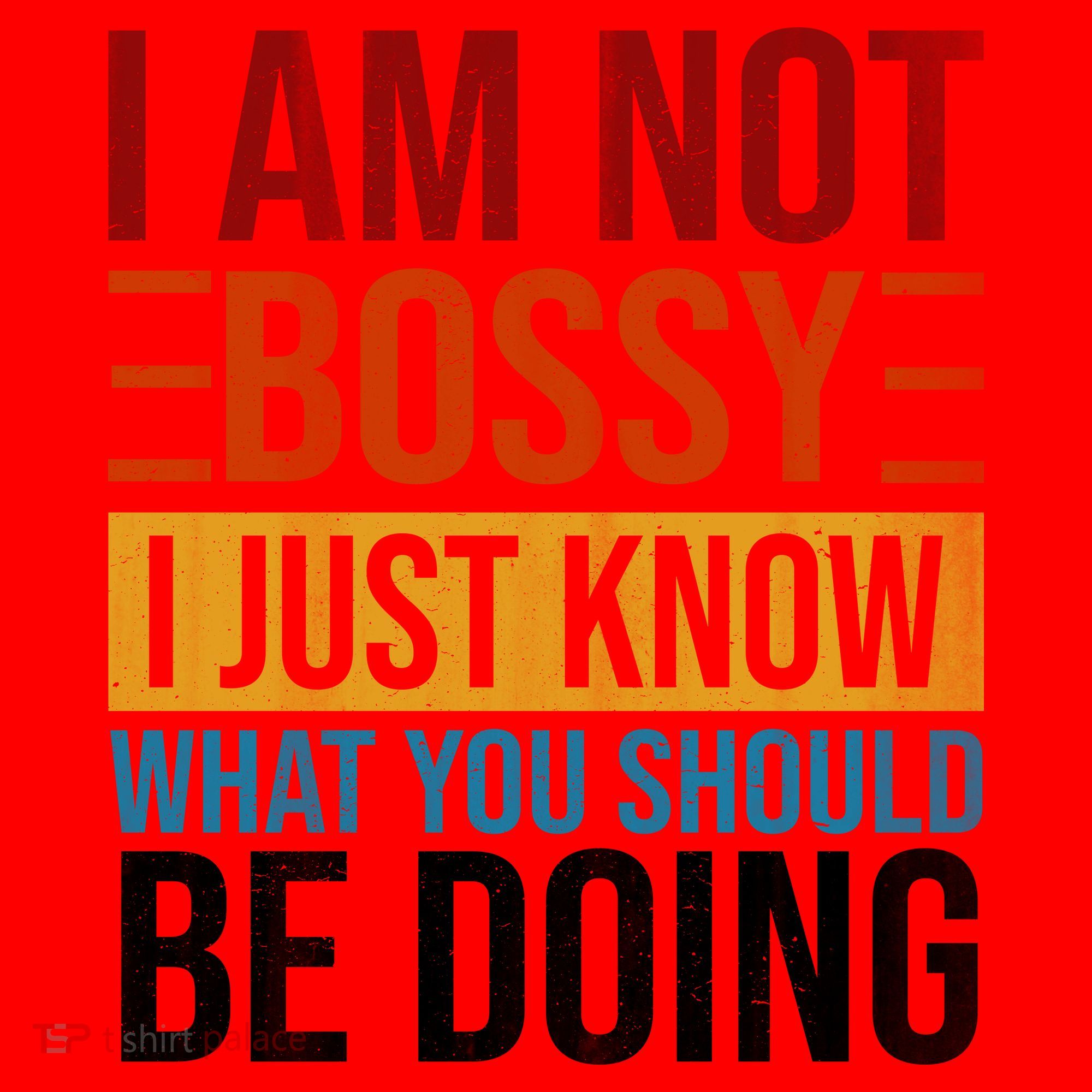 Not Bossy Just Know What I Should Be Doing Funny Sayings Santa Hat