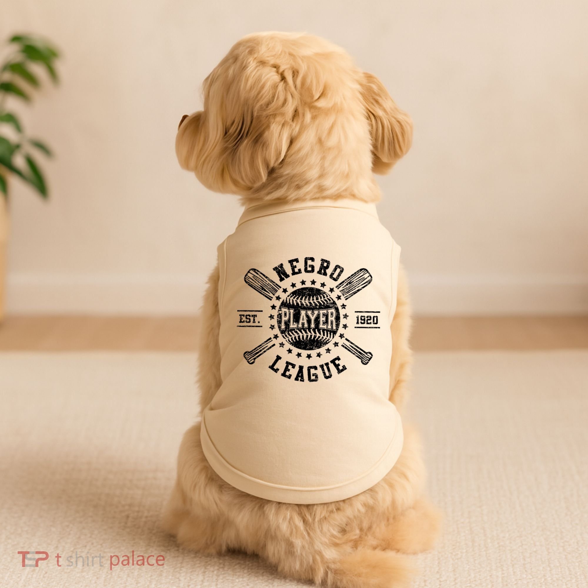 Negro Baseball Player 1920 League Doggie Tank