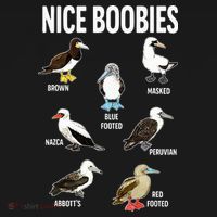 Nice Boobies Pun Adult Joke Funny Bird Lover Birdwatcher T-Shirt thumb 7