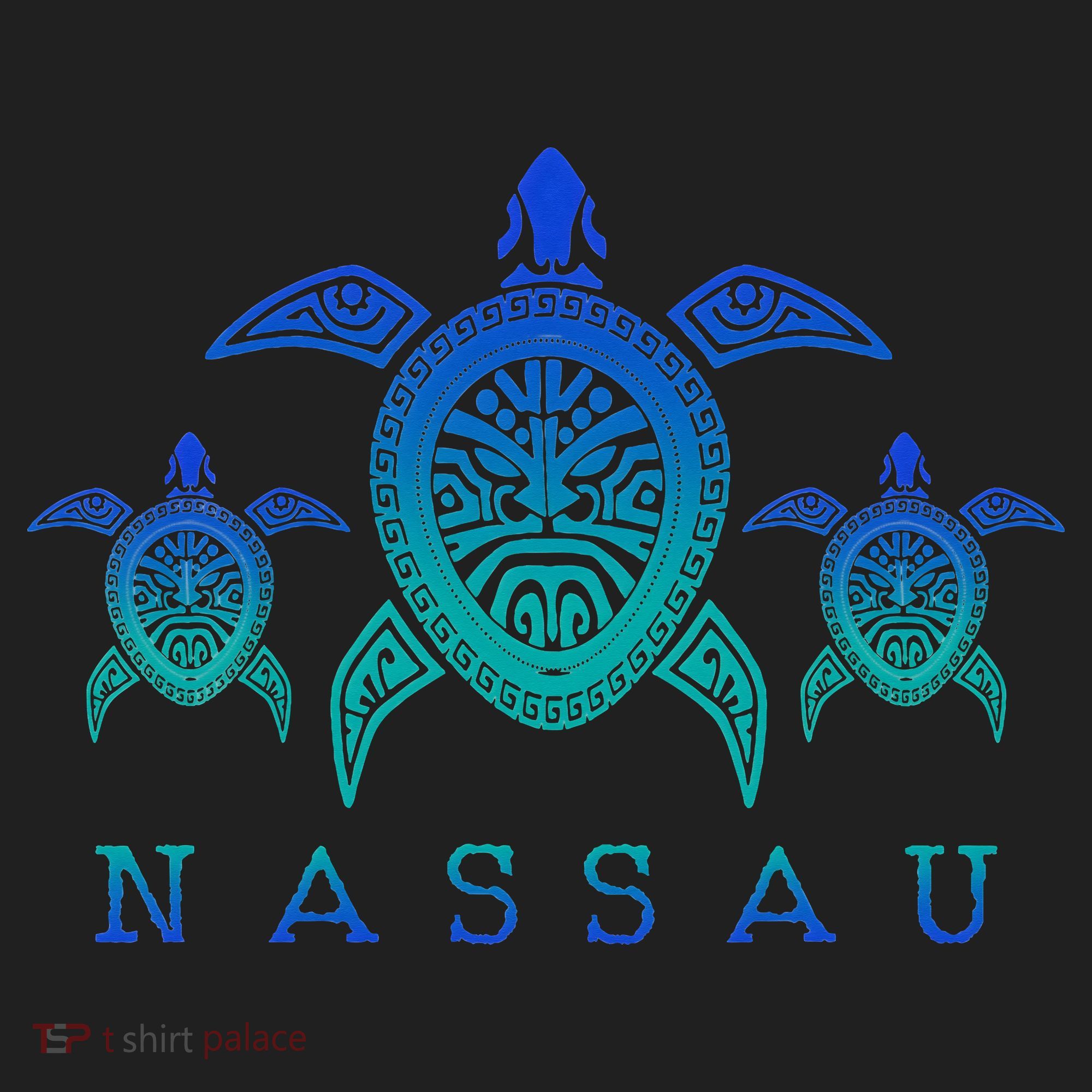 Nassau Bahamas Sea Turtle Scuba Diving Gift Beanie
