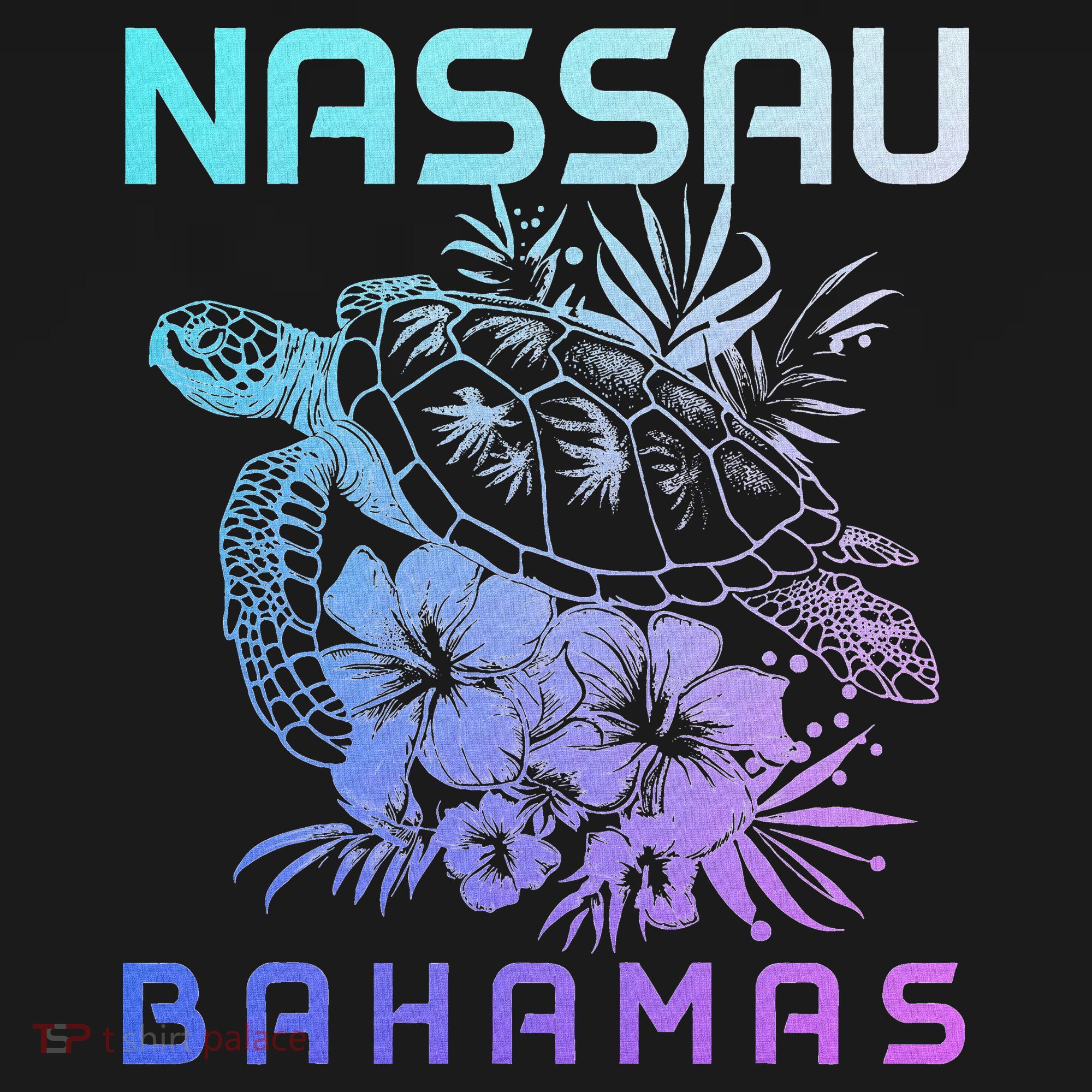 Nassau Bahamas Sea Turtle Diving Surfer Souvenir Women's Hoodie