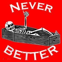 Never Better Skull Skeleton Is In The Coffin Halloween Santa Hat thumb 1
