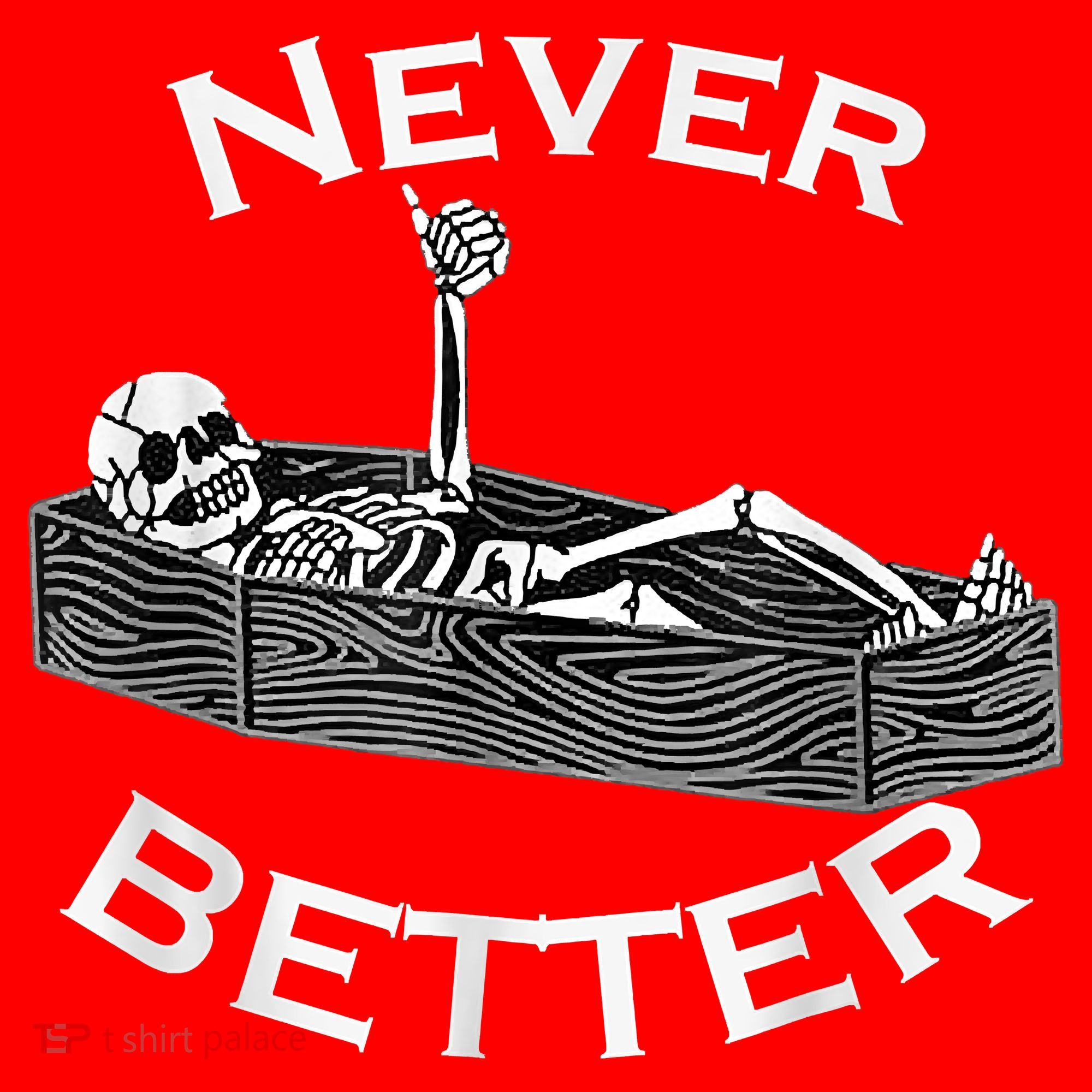 Never Better Skull Skeleton Is In The Coffin Halloween Santa Hat