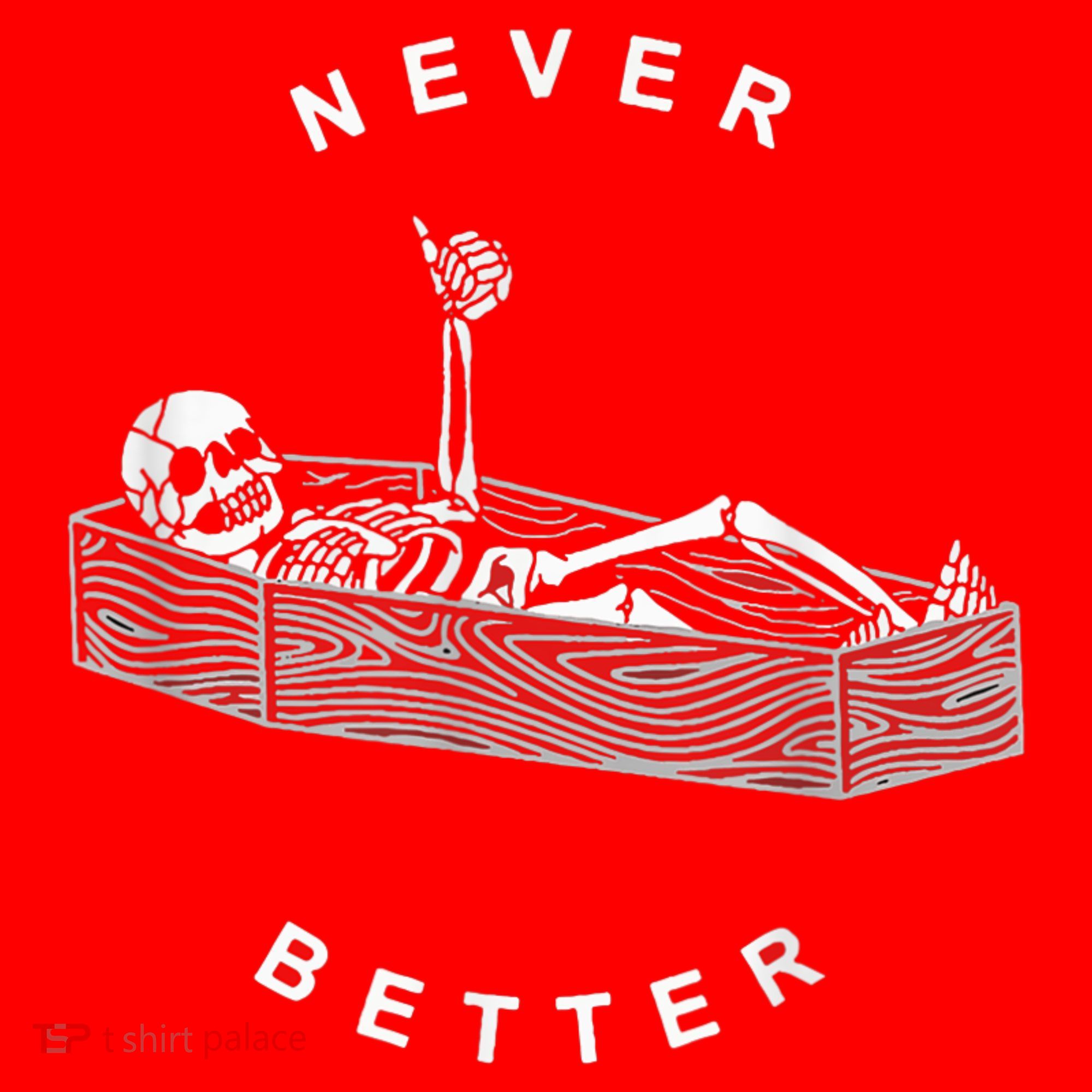 Never Better Skull Skeleton In The Coffin Halloween Santa Hat