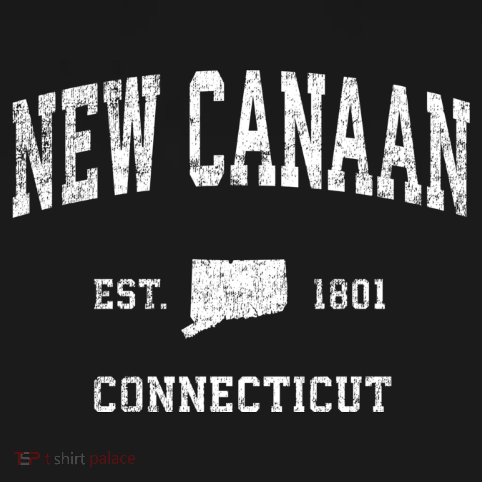 New Canaan Connecticut Ct Vintage Sports T-Shirt