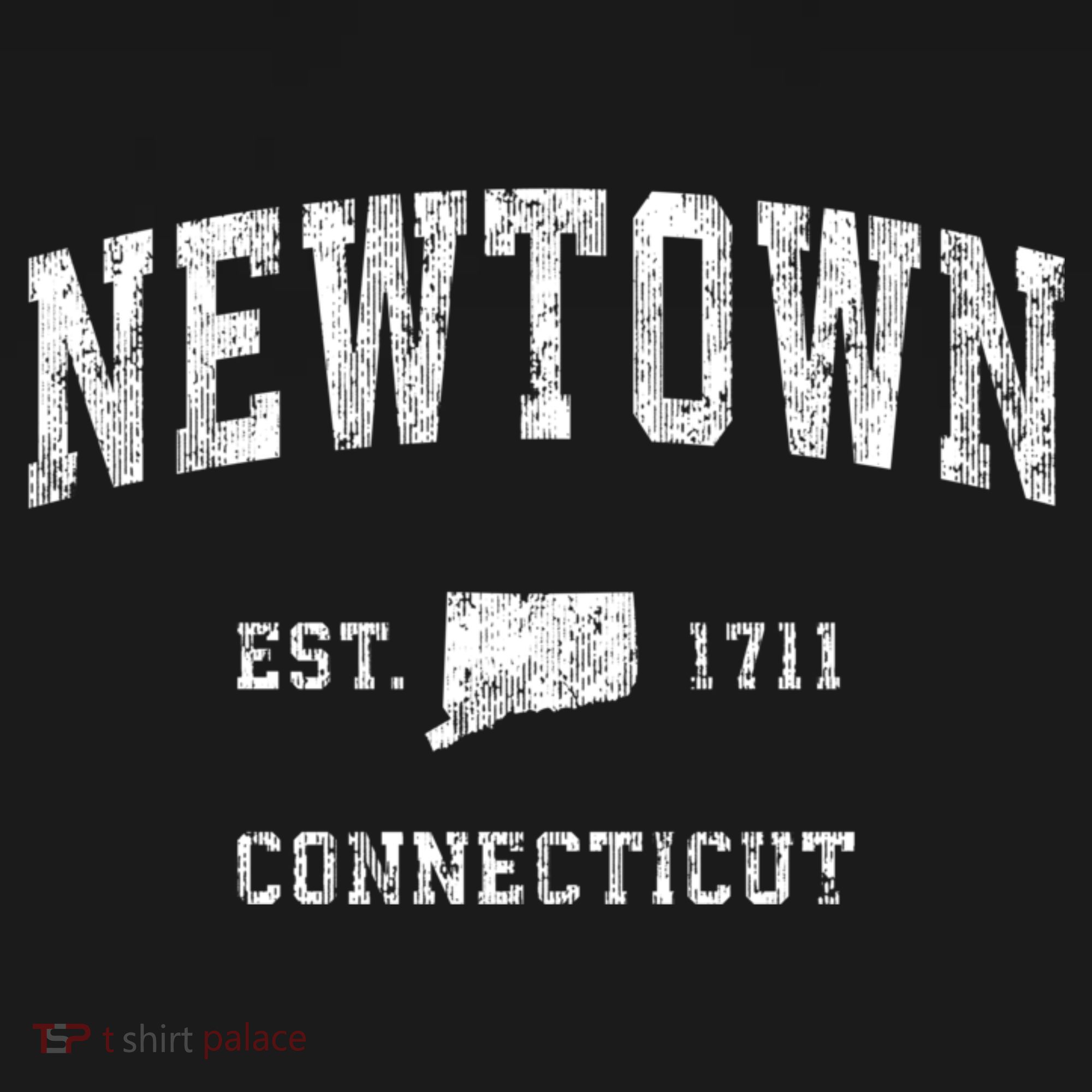 Newtown Connecticut Ct Vintage Sports T-Shirt