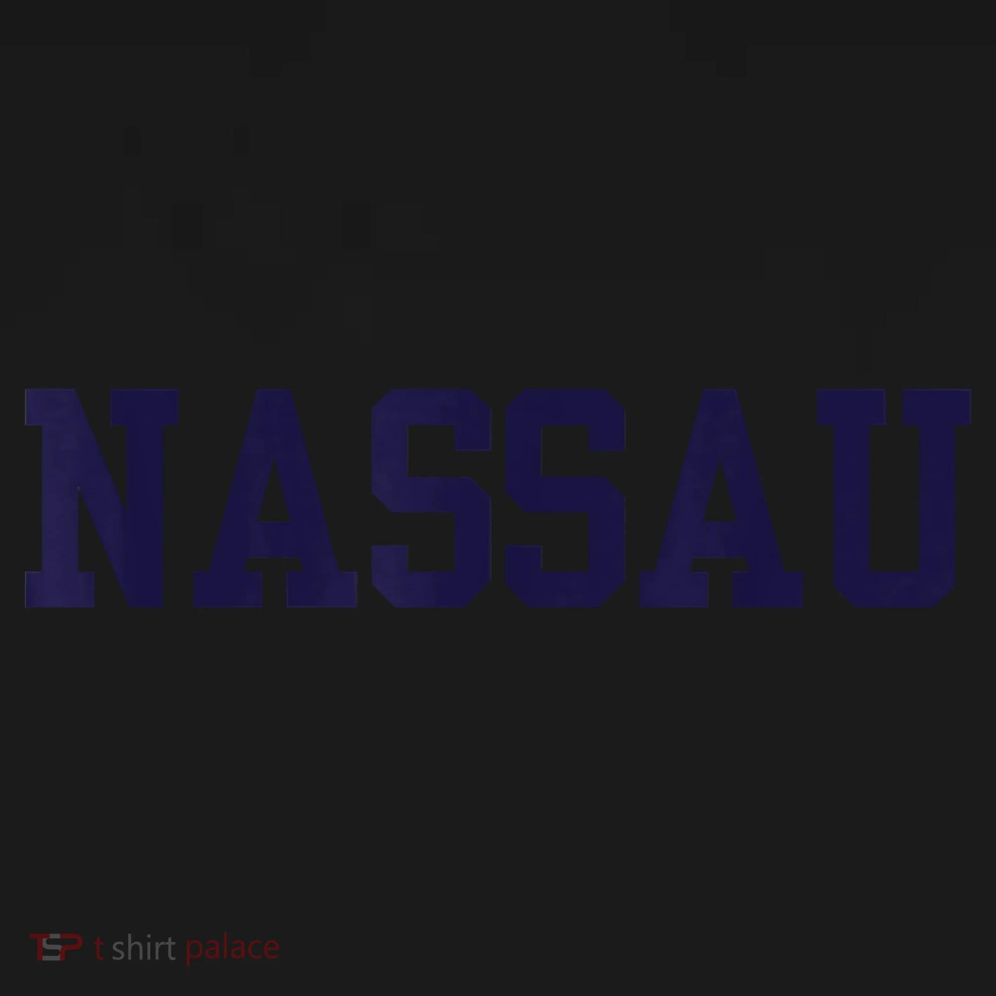 Nassau Community College Long Sleeve Shirt