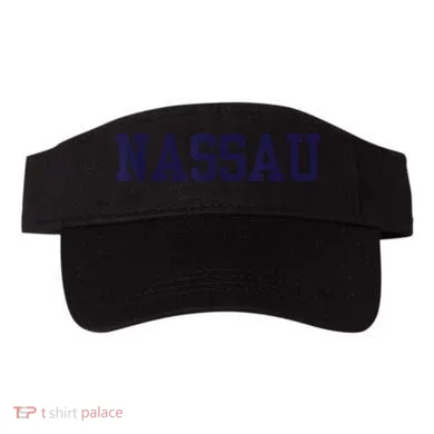 Visor