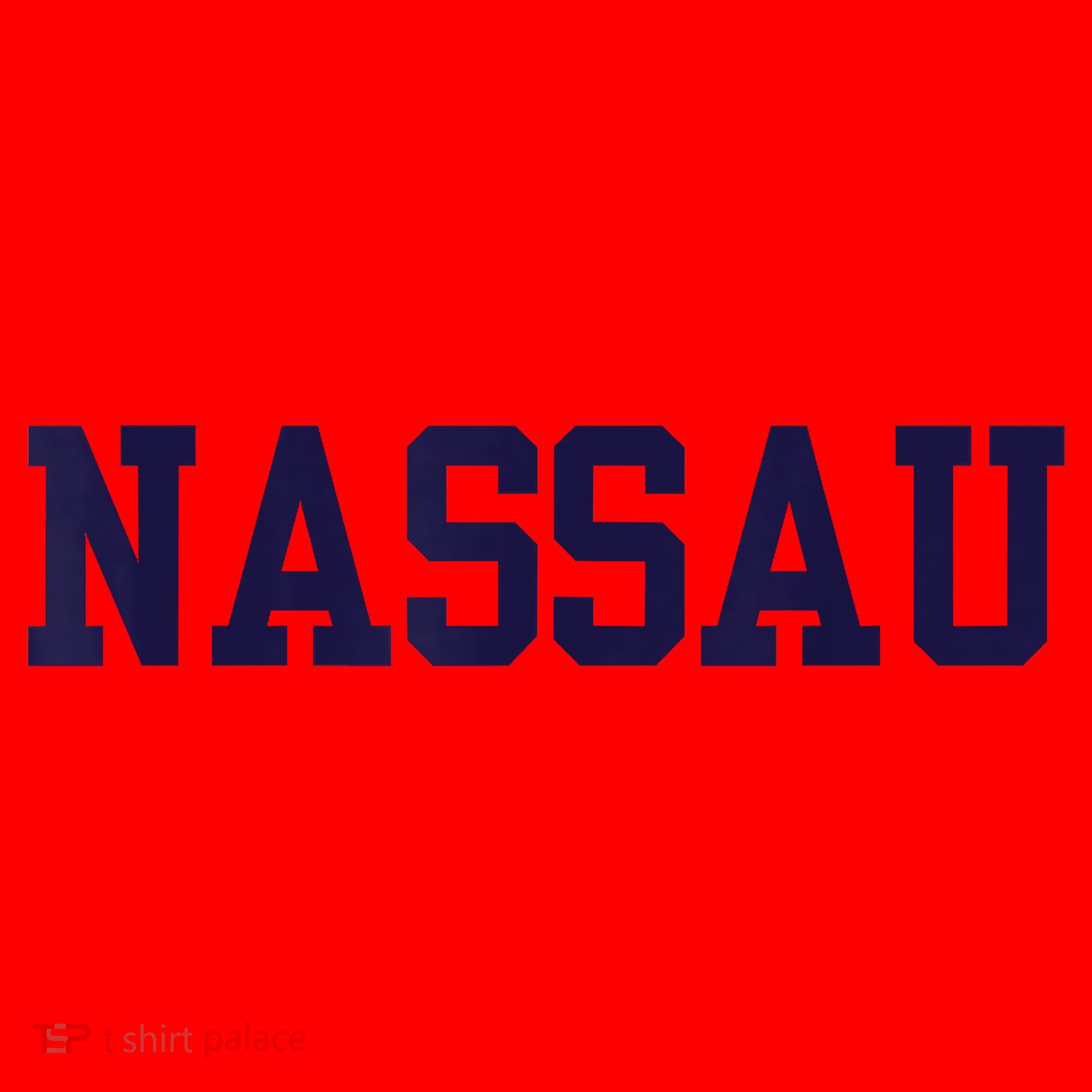 Nassau Community College Santa Hat